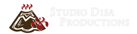 Studio Disa Productions